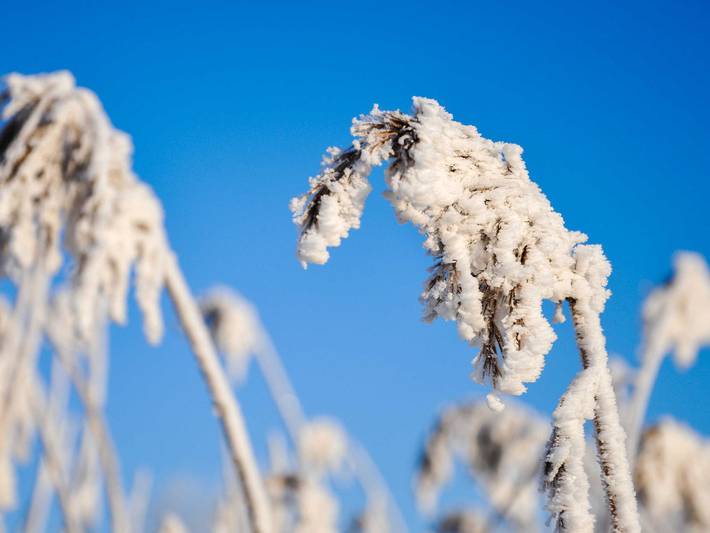 Ferienwohnung für 10 Personen, mit Terrasse und Garten in Ostfriesland - 2