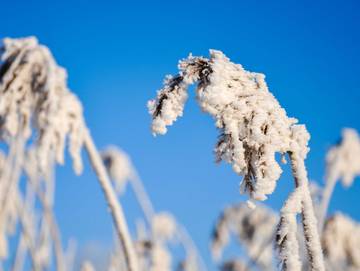 Ferienwohnung für 10 Personen in Stedesdorf, Landkreis Wittmund, Bild 1