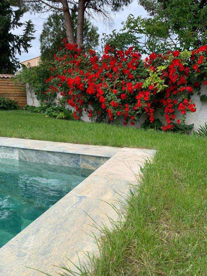 Location de vacances pour 6 personnes, avec piscine et terrasse à Névian - 2