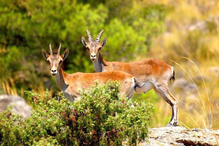Casa rural para 6 personas, con vistas y piscina además de jardín y vistas al lago en Provincia de Albacete - 4