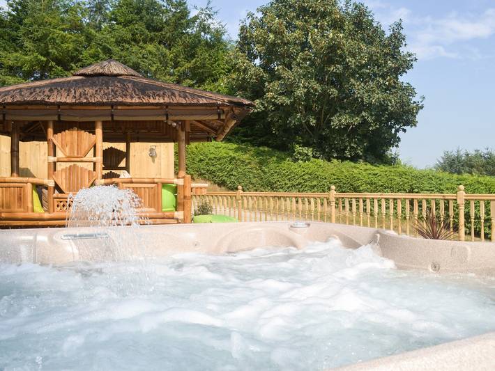 Log cabin for 6 people, with garden, with pets in Powys