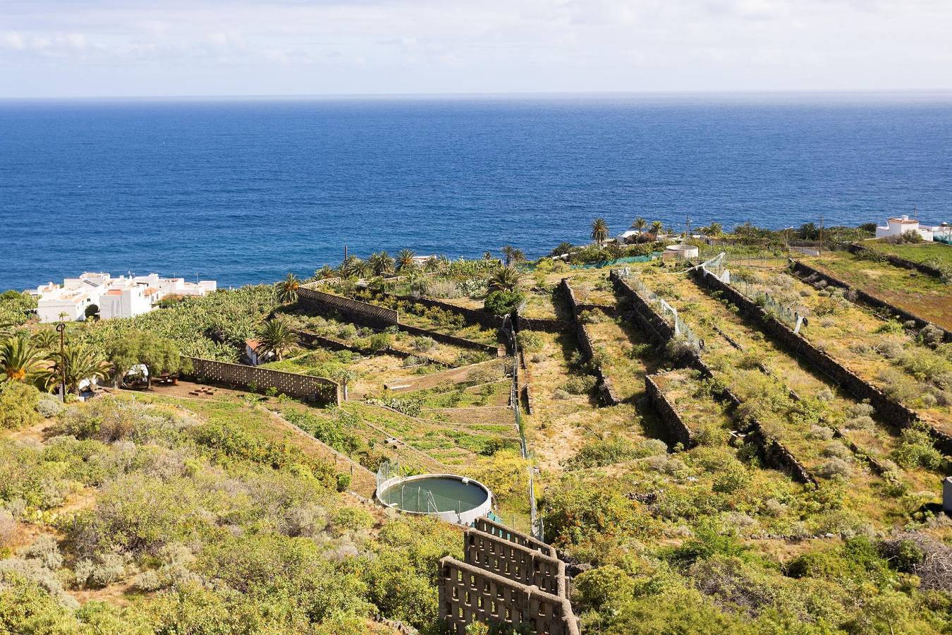 Apartamento vacacional entero, Choviejo in San Juan de la Rambla, Tenerife Norte