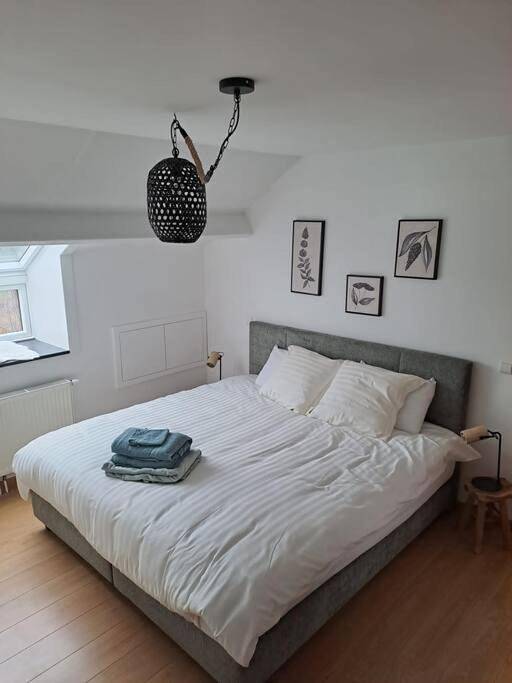 Location de vacances pour 6 personnes, avec vue et jardin à Bertogne - 3