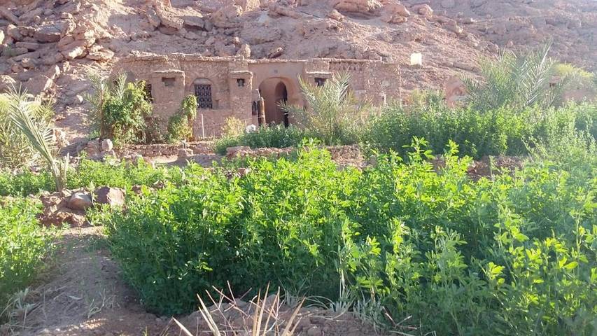 Tente pour 3 personnes, avec vue sur le lac et vue ainsi que piscine et jardin, animaux acceptés au Maroc - 3