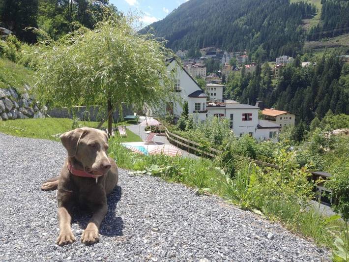 Ferienwohnung für 8 Personen, mit Terrasse und Garten sowie Pool und Sauna in Bad Gastein - 4