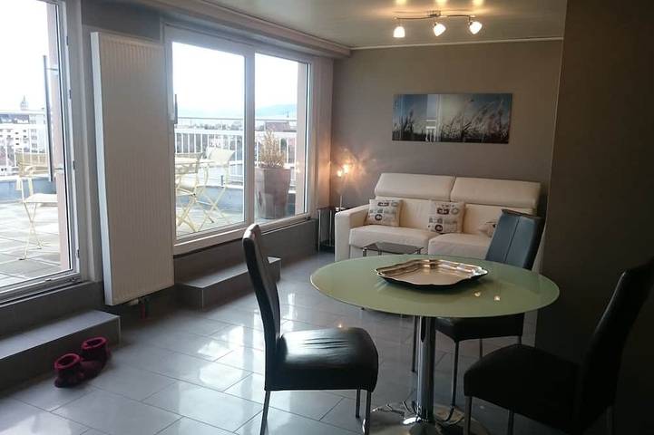 Ganze Wohnung, Wohnung mit Terrasse 40m2 in Schlettstadt, Region Sélestat-Erstein