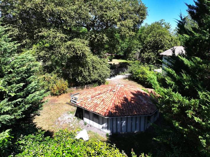 Location de vacances pour 4 personnes, avec jardin, animaux acceptés à Belin-Béliet - 3