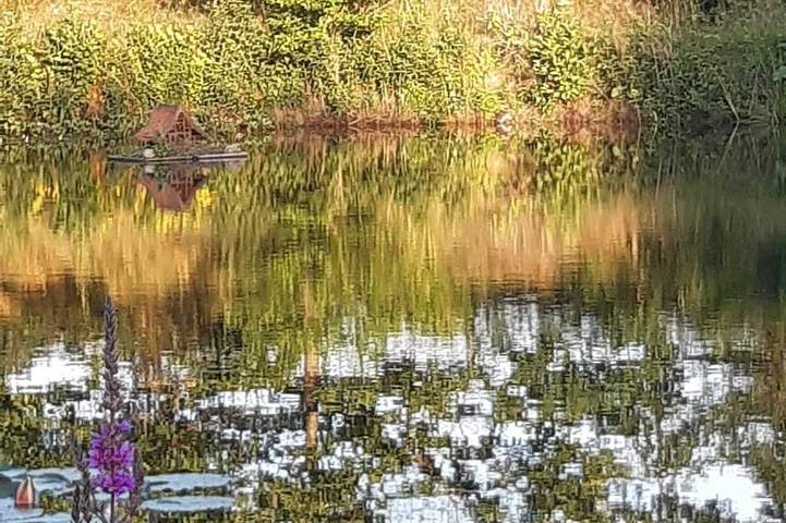 Ferienwohnung für 4 Personen - 1