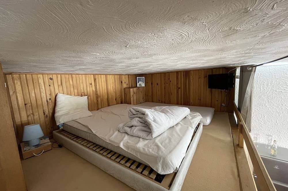 Entire apartment, Ski-In/Ski-Out Studio, Sleeps 5, Wifi, Pets Welcome, 40m² in Le Lioran, Laveissière