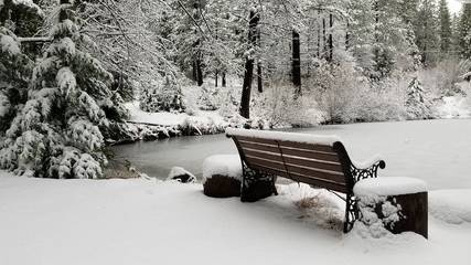 Camping for 6 Guests in Northern California, California, Picture 3