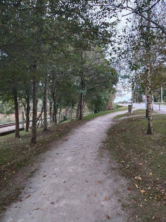 Maison d’hôte pour 10 personnes, avec vue et jardin dans Cantabrie - 4