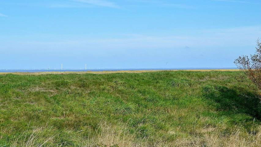 Ferienhaus mit Meerblick für 7 Personen, mit Terrasse, mit Haustier auf Fanø - 2
