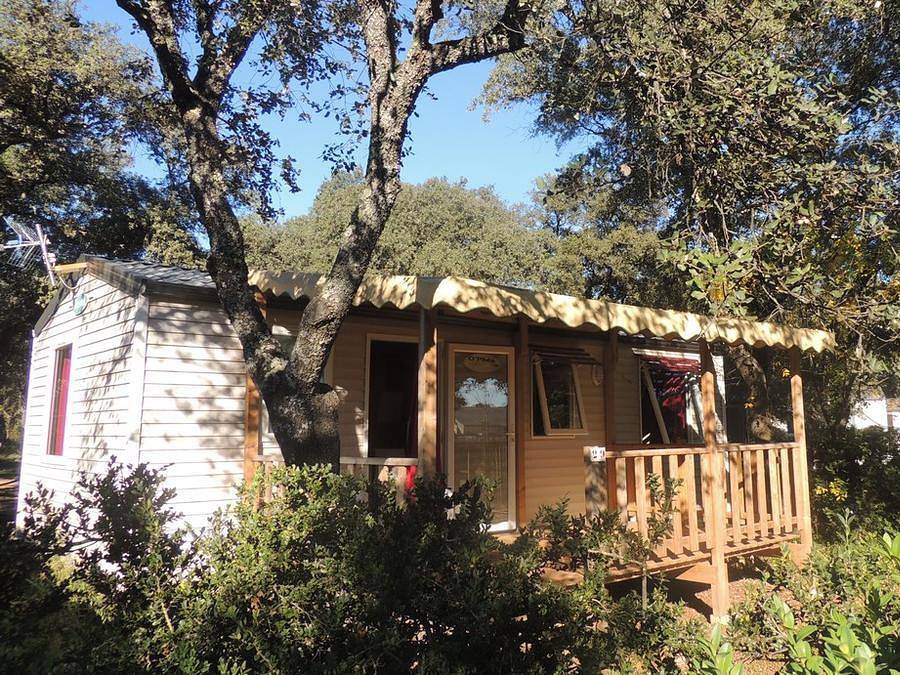 Camping le Domaine de Gajan - Mobilheim 6 personen - Family plus - 3 Schlafzimmer in Boisseron, Mittelmeerküste (Frankreich)