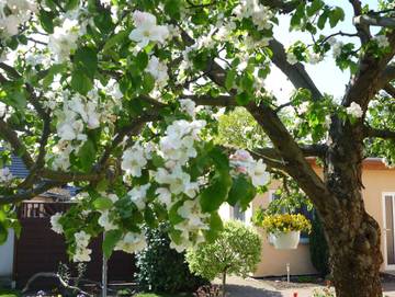 Ferienwohnung für 2 Personen in Rerik, Neubukow-Salzhaff, Bild 2