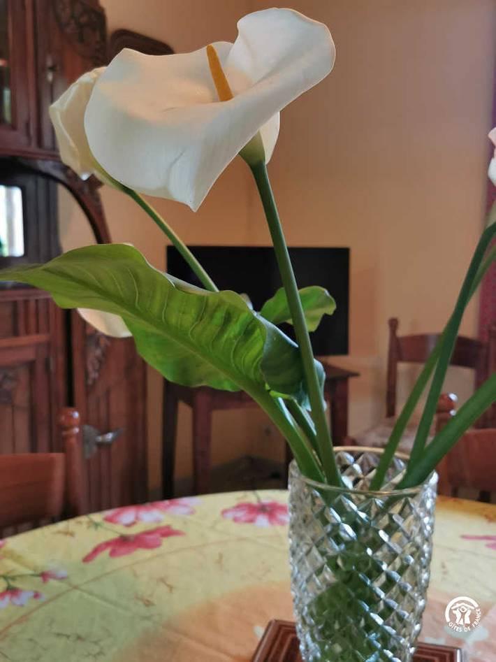 Gîte pour 4 personnes, avec jardin, animaux acceptés dans l' Hérault - 3