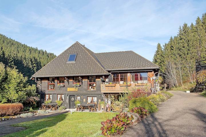 Ganze Wohnung, Ferienwohnung Steinhäusle 1 mit Bergblick, Gemeinschaftsterrasse und Wlan in Vöhrenbach, Mittlerer Schwarzwald