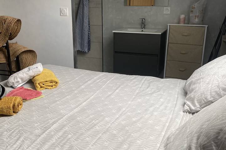 Gîte pour 6 personnes, avec jardin à Maslives - 4