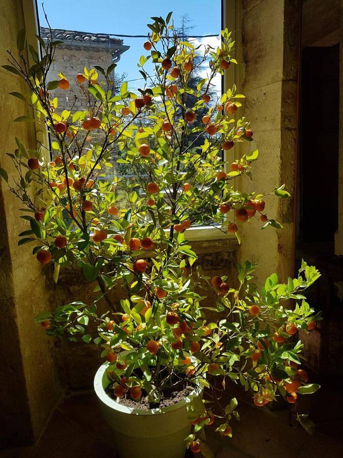 Maison de vacances pour 4 personnes, avec balcon et vue - 1