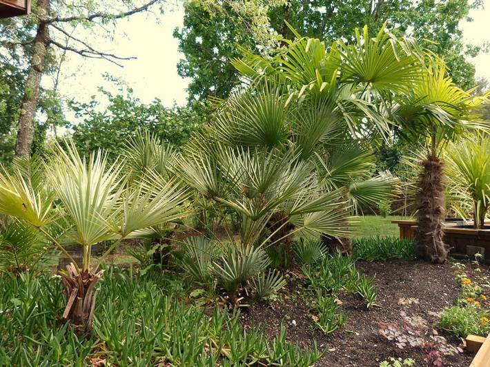 Gîte pour 2 personnes, avec jardin en Gironde - 4