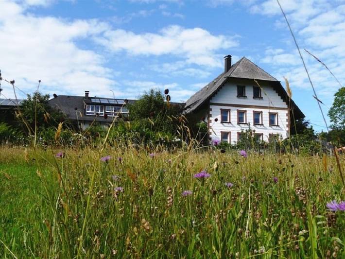 Ferienhaus für 6 Personen, mit Balkon und Whirlpool sowie Garten und Pool in Elzach
