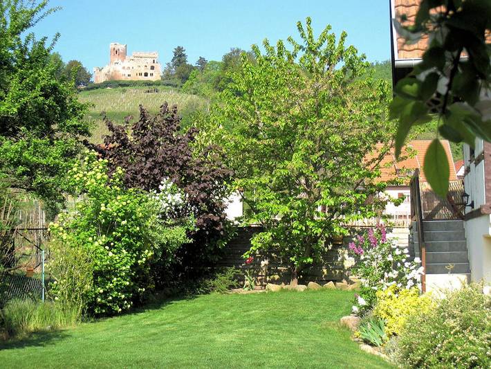 Gîte pour 8 personnes, avec terrasse et jardin à Kintzheim - 3