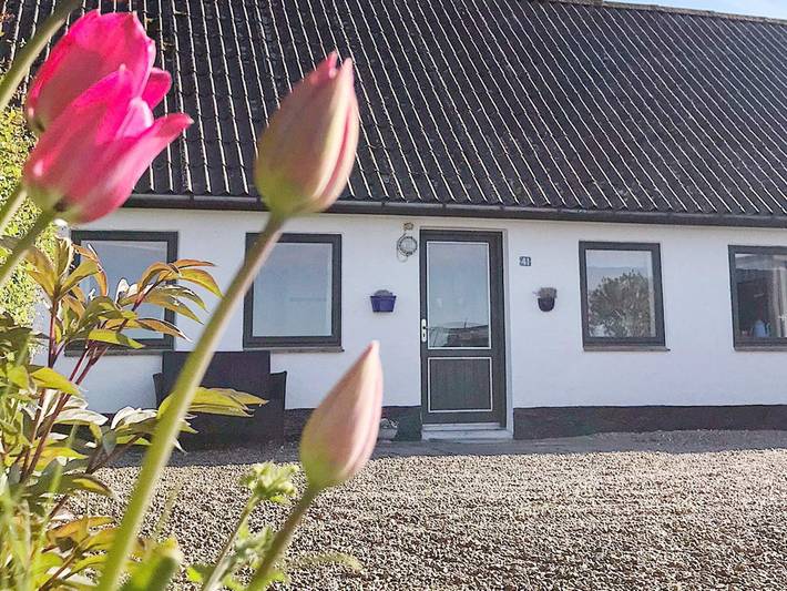 Ferienhaus für 5 Personen, mit Garten und Terrasse in Kegnæs - 3