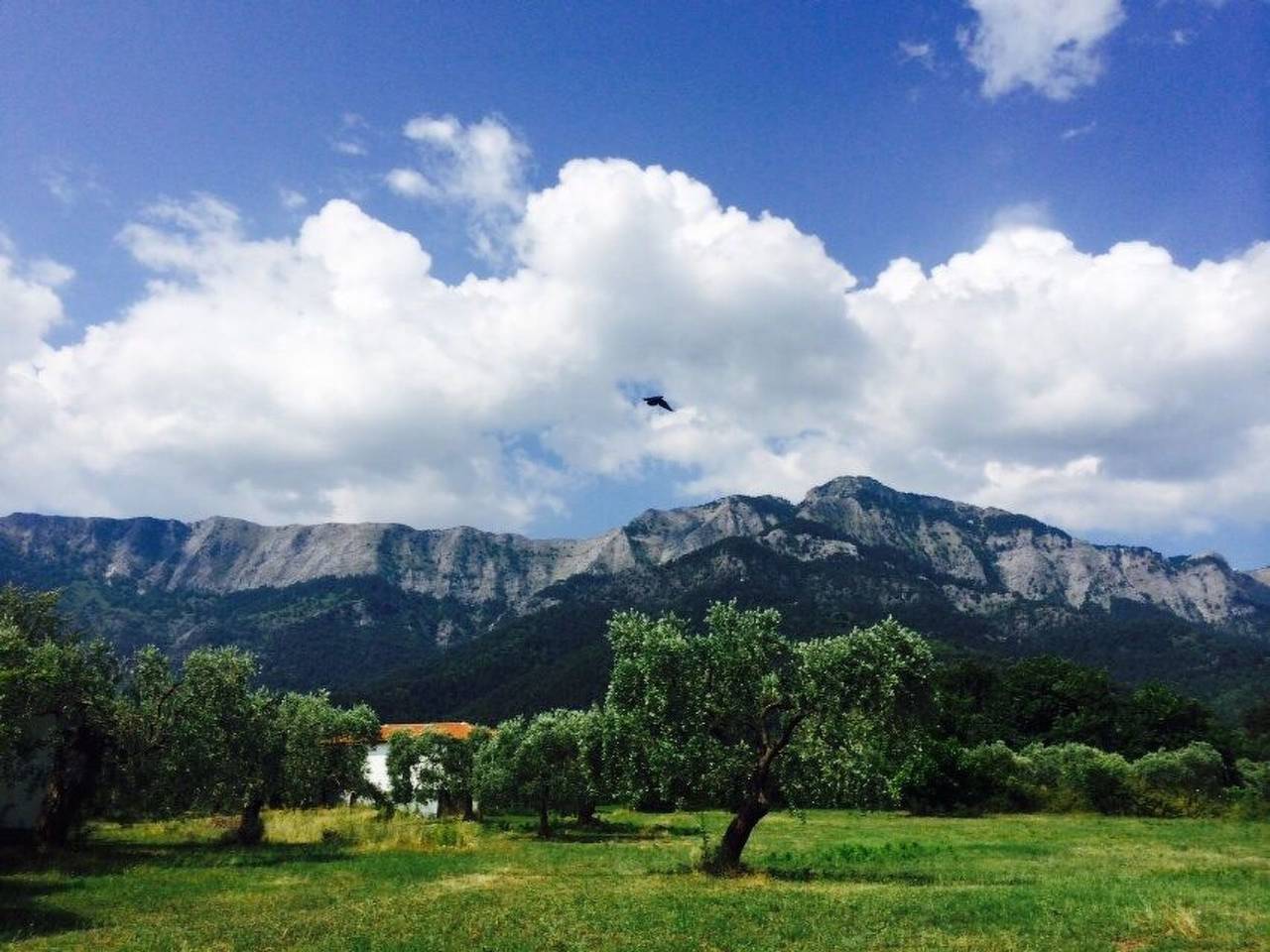 Strandnahes Ferienhaus mit privatem Garten in Chrisi Akti, Thassos