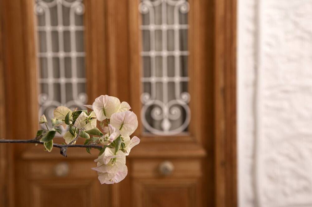 Mansion \" Antoinette\" in Hydra