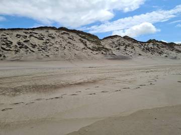 Feriehus til 8 Personer i Ulfborg, Nordsjøkysten av Danmark, Bilde 2