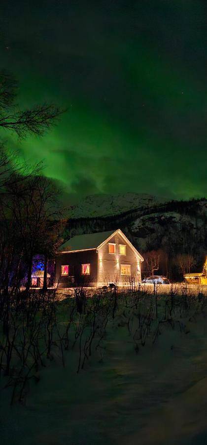 Four-Bedroom House in Senja, Lenvik