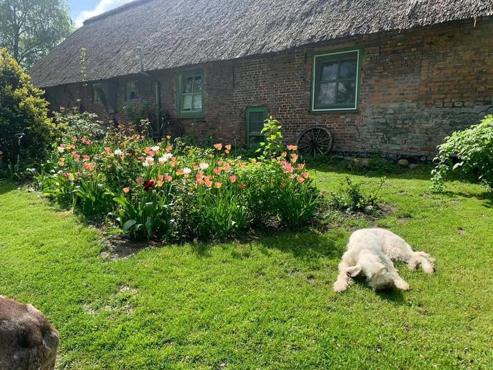 Ferienhaus für 6 Personen, mit Whirlpool und Terrasse sowie Garten und Sauna in Witzwort - 3