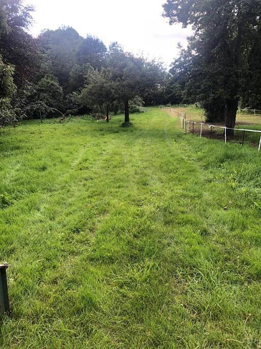 Location de vacances pour 4 personnes dans Putanges-le-Lac - 2