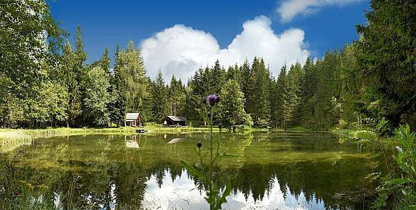 Bauernhaus für 4 Personen, mit Garten und Sauna, mit Haustier im Lungau - 3