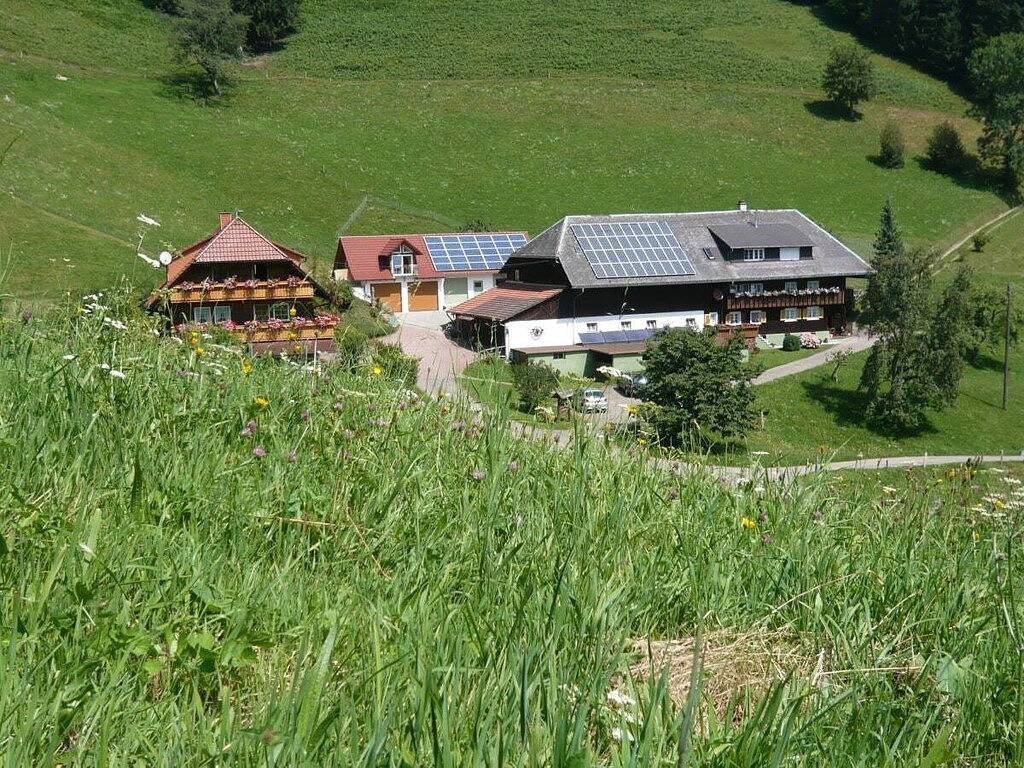 Sonneneck auf dem Gipfhof in Obermünstertal, Münstertal