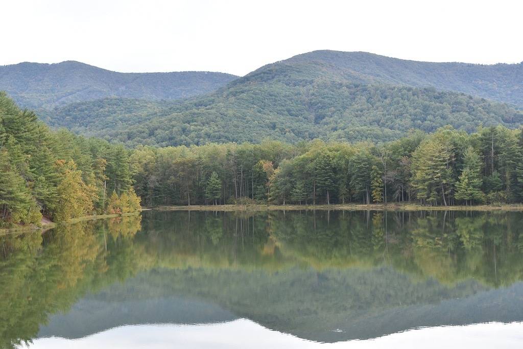 Cabin Fever in the foothills of the Blue Ridge Mountains in Page County