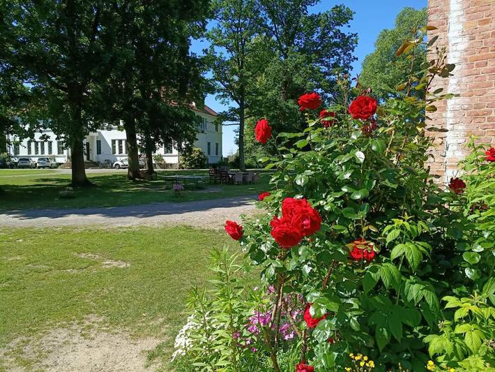 Ferienwohnung für 5 Personen, mit Garten und Sauna sowie Seeblick und Ausblick in Behren-Lübchin