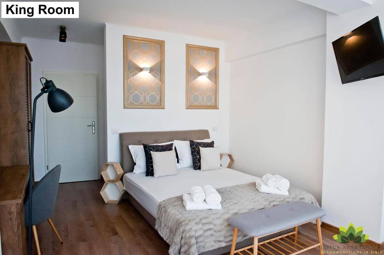 Ganze Wohnung, Superior Apartment with Sauna in Hermannstadt, Karpaten