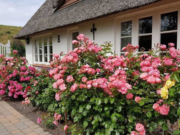 Ferienwohnung für 2 Personen, mit Terrasse und Garten in Poppenbüll - 4