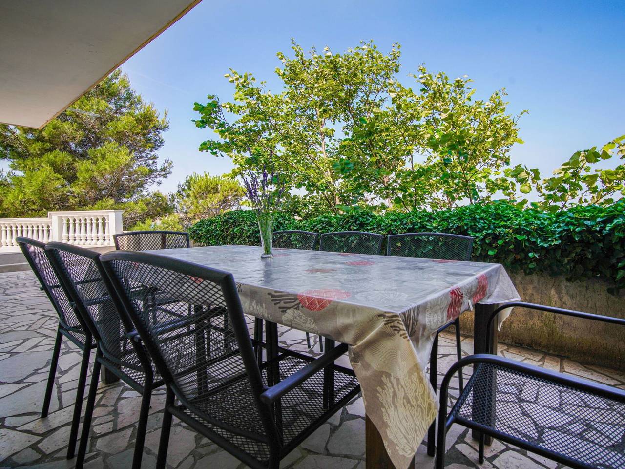 Mara - Mara 300.1 in Cesarica, Naturpark Velebit