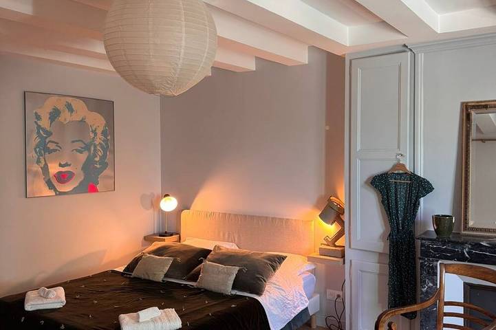 Location de vacances pour 6 personnes, avec terrasse et jardin, animaux acceptés à Chisseaux - 4