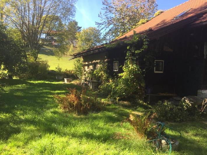 Ferienhaus für 8 Personen, mit Garten und Sauna, mit Haustier in Neureichenau - 3