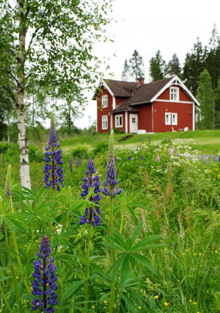 Feriehus for 8 personer, med Terrasse og Hage i tillegg til Innsjøutsikt i Småland
