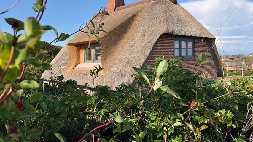 Ferienhaus für 6 Personen, mit Sauna und Garten