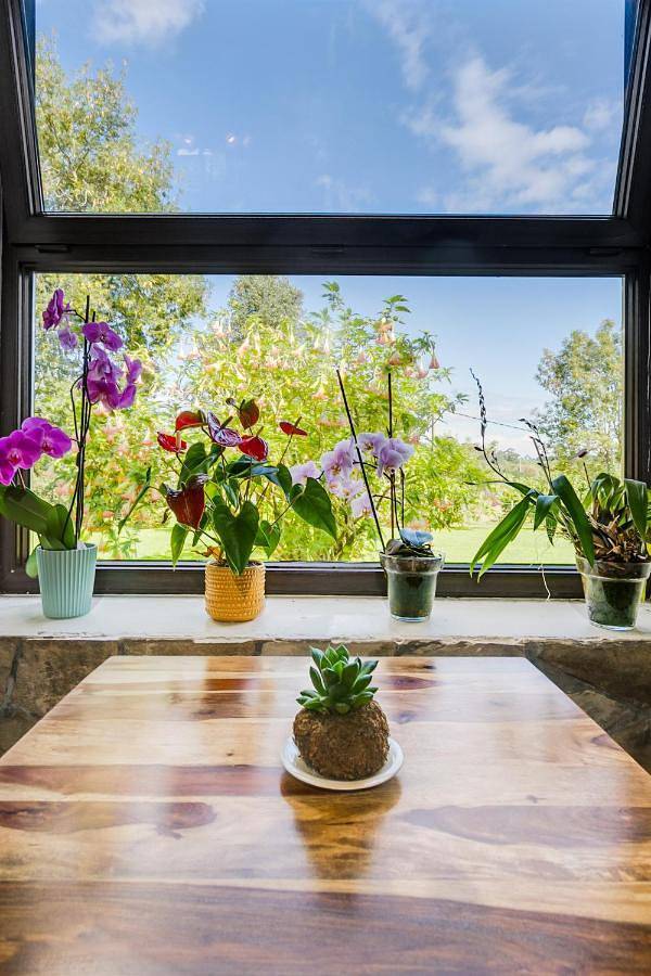 Hotel para 2 personas, con jardín y vistas en Ribadesella - 4