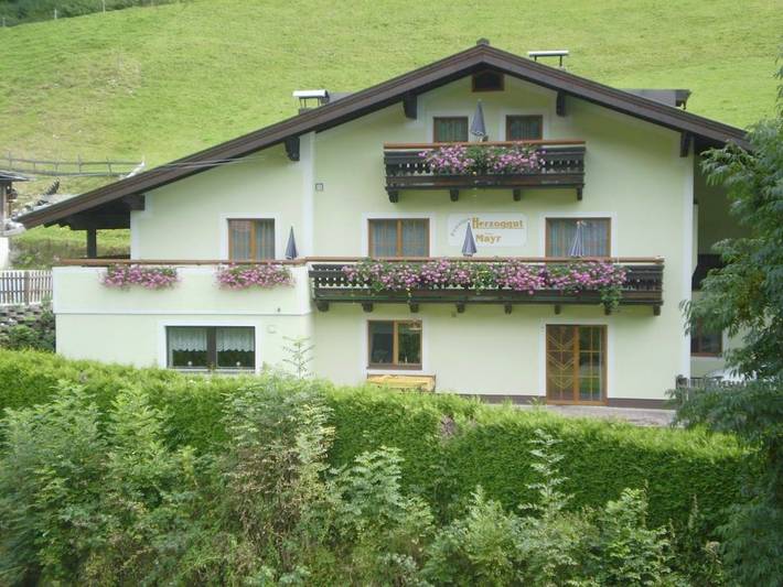 B&B für 2 Personen, mit Ausblick und Balkon in Zell am See