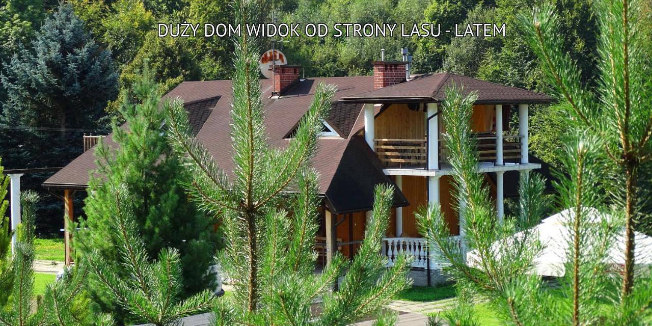 Bieszczady Sosnowa Aleja in Karpaty (Polska)