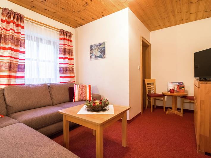 Ferienwohnung für 6 Personen, mit Balkon und Garten, kinderfreundlich in Wagrain - 3