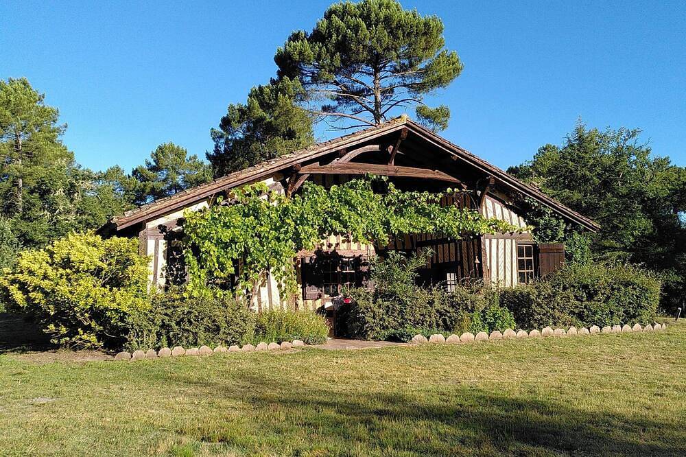Authentique vaste  ferme landaise de 1850 au coeur de la forêt sans voisins 30 p in Luxey, Landes