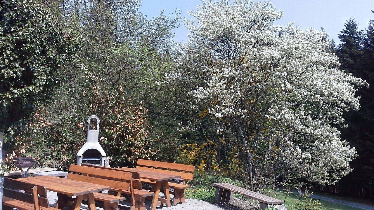 Ganze Ferienwohnung, Ferienwohnung für 10 Personen (200 m²) in Kollnburg in Kollnburg, Ostbayern