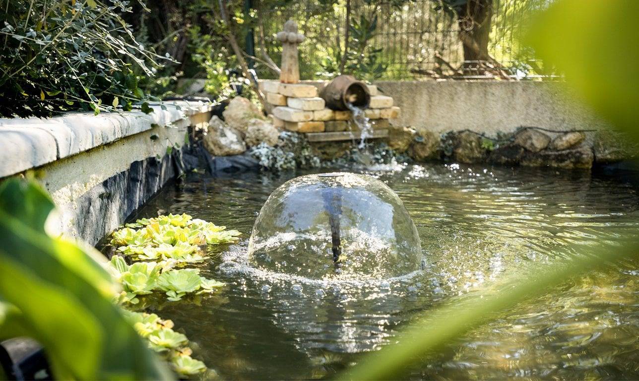 Domaine à l'Aise - Chambre Bergerie in Saint-Pargoire, Région de Lodève